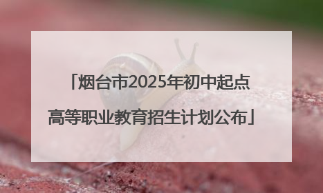 烟台市2025年初中起点高等职业教育招生计划公布