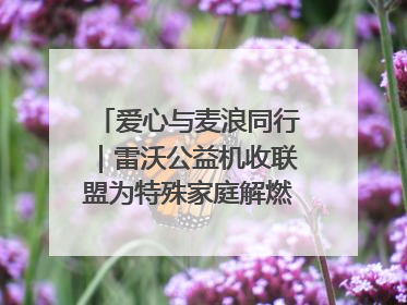 爱心与麦浪同行｜雷沃公益机收联盟为特殊家庭解燃“麦”之急