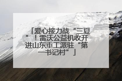爱心接力战“三夏”！雷沃公益机收开进山东重工派驻“第一书记村”