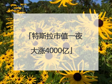 特斯拉市值一夜大涨4000亿
