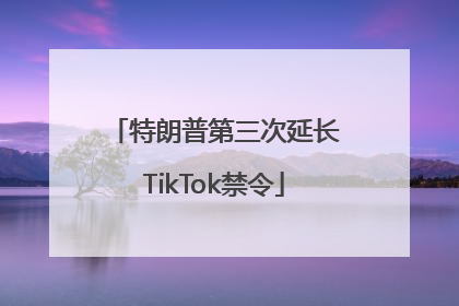 特朗普第三次延长TikTok禁令