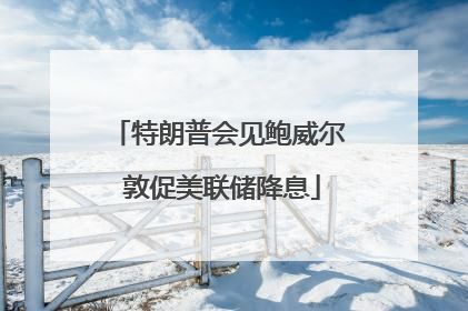 特朗普会见鲍威尔 敦促美联储降息