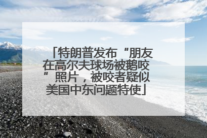 特朗普发布“朋友在高尔夫球场被鹅咬”照片，被咬者疑似美国中东问题特使