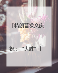 特朗普发文庆祝：“大胜”
