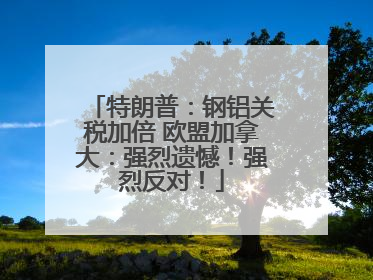 特朗普：钢铝关税加倍 欧盟加拿大：强烈遗憾！强烈反对！