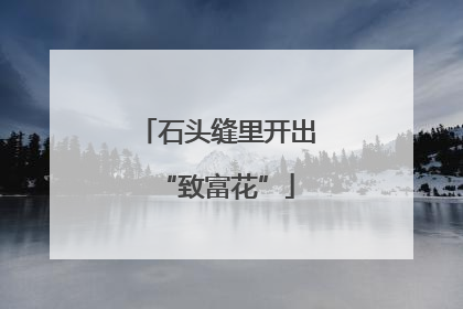 石头缝里开出“致富花”