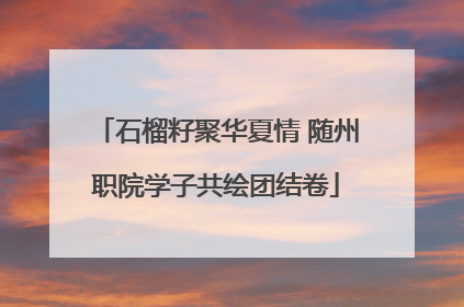石榴籽聚华夏情 随州职院学子共绘团结卷