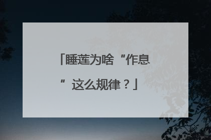 睡莲为啥“作息”这么规律？