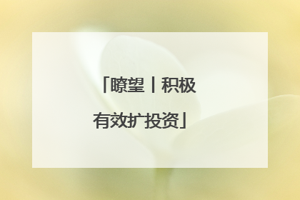 瞭望丨积极有效扩投资