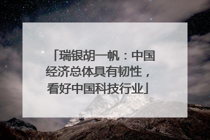 瑞银胡一帆：中国经济总体具有韧性，看好中国科技行业