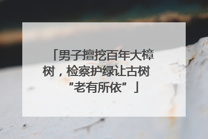 男子擅挖百年大樟树，检察护绿让古树“老有所依”