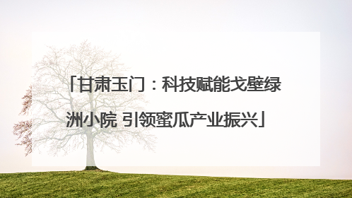 甘肃玉门：科技赋能戈壁绿洲小院 引领蜜瓜产业振兴