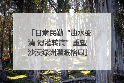 甘肃民勤“浊水变清 漫灌转滴”重塑沙漠绿洲灌溉格局