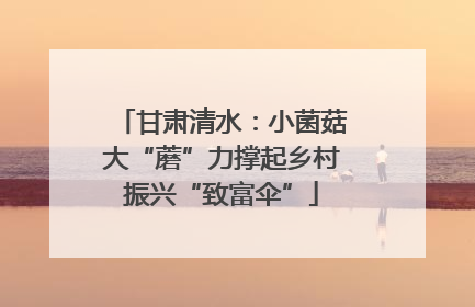 甘肃清水：小菌菇大“蘑”力撑起乡村振兴“致富伞”