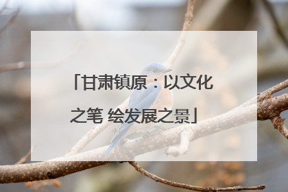 甘肃镇原：以文化之笔 绘发展之景