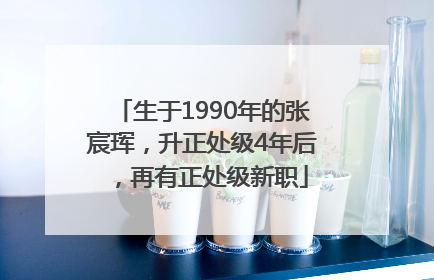 生于1990年的张宸珲，升正处级4年后，再有正处级新职