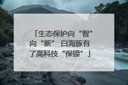 生态保护向“智”向“新” 白海豚有了高科技“保镖”