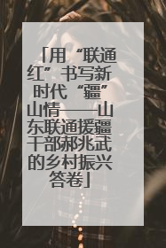 用“联通红”书写新时代“疆”山情——山东联通援疆干部郝兆武的乡村振兴答卷