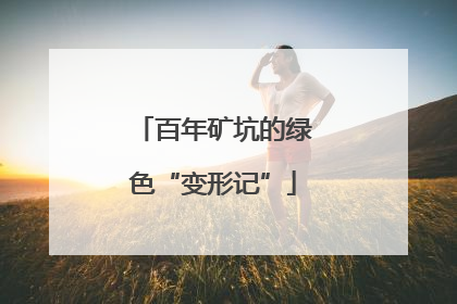 百年矿坑的绿色“变形记”