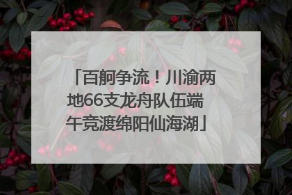 百舸争流！川渝两地66支龙舟队伍端午竞渡绵阳仙海湖
