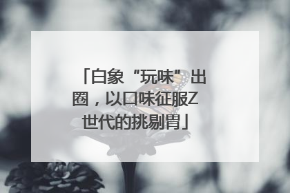 白象“玩味”出圈，以口味征服Z世代的挑剔胃