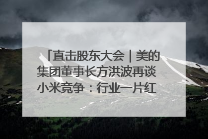 直击股东大会｜美的集团董事长方洪波再谈小米竞争：行业一片红海，打法已固定，无论谁胜都是消耗战