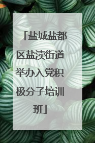 盐城盐都区盐渎街道举办入党积极分子培训班