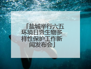 盐城举行六五环境日暨生物多样性保护工作新闻发布会