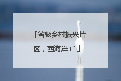 省级乡村振兴片区，西海岸+1
