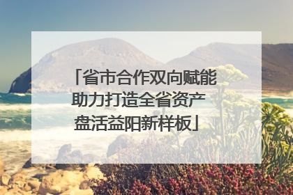 省市合作双向赋能 助力打造全省资产盘活益阳新样板