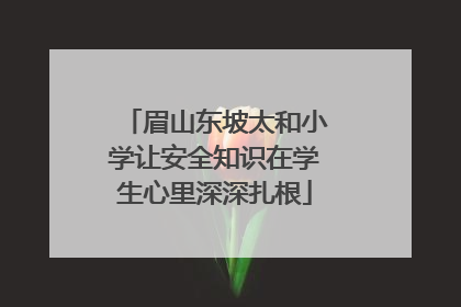 眉山东坡太和小学让安全知识在学生心里深深扎根