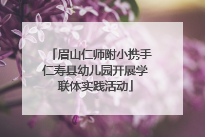 眉山仁师附小携手仁寿县幼儿园开展学联体实践活动