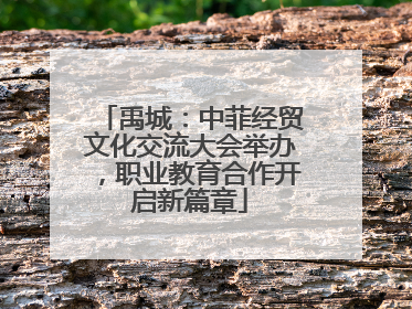 禹城：中菲经贸文化交流大会举办，职业教育合作开启新篇章