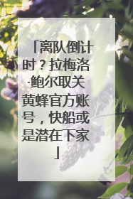 离队倒计时？拉梅洛·鲍尔取关黄蜂官方账号，快船或是潜在下家