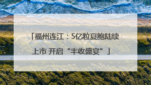 福州连江：5亿粒夏鲍陆续上市 开启“丰收盛宴”