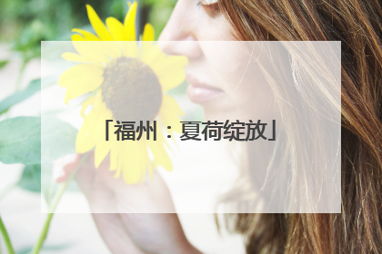 福州：夏荷绽放