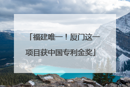 福建唯一！厦门这一项目获中国专利金奖
