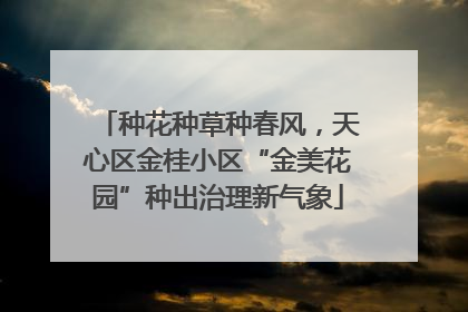 种花种草种春风，天心区金桂小区“金美花园”种出治理新气象