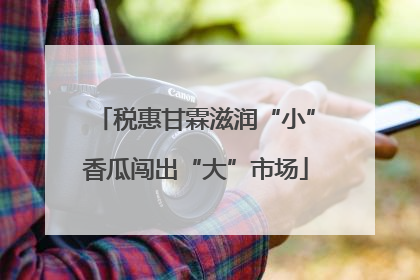 税惠甘霖滋润“小”香瓜闯出“大”市场