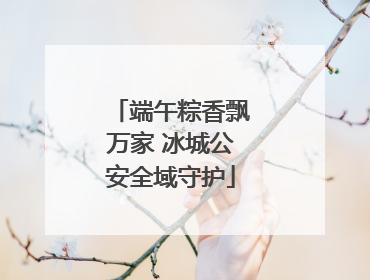 端午粽香飘万家 冰城公安全域守护