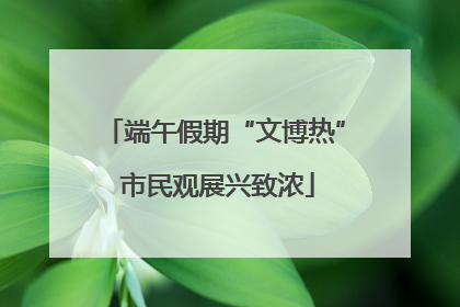 端午假期“文博热” 市民观展兴致浓