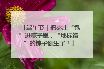 端午节｜把枣庄“包”进粽子里，“地标馅”的粽子诞生了！