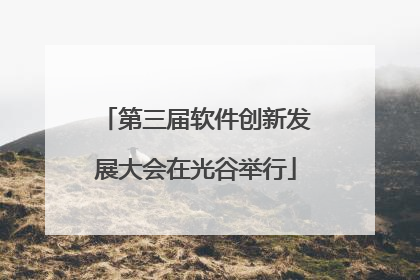 第三届软件创新发展大会在光谷举行