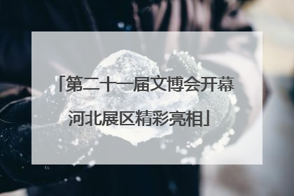 第二十一届文博会开幕 河北展区精彩亮相