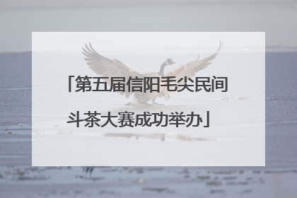 第五届信阳毛尖民间斗茶大赛成功举办