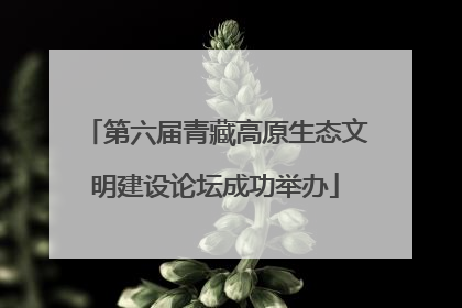 第六届青藏高原生态文明建设论坛成功举办