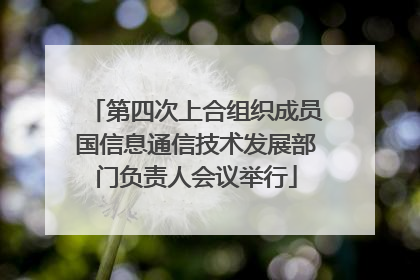 第四次上合组织成员国信息通信技术发展部门负责人会议举行