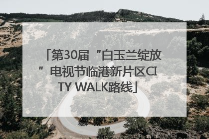 第30届“白玉兰绽放”电视节临港新片区CITY WALK路线