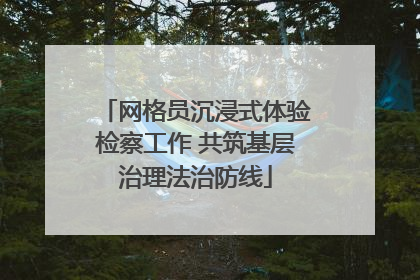 网格员沉浸式体验检察工作 共筑基层治理法治防线