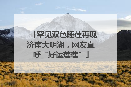罕见双色睡莲再现济南大明湖，网友直呼“好运莲莲”